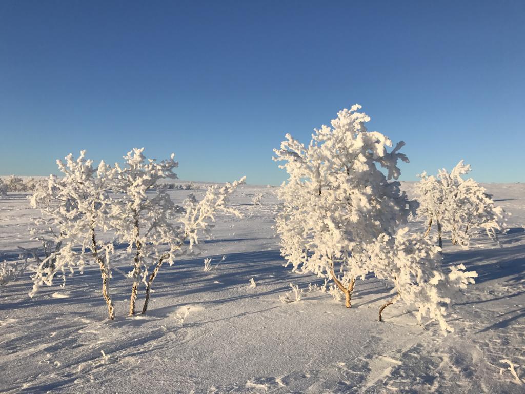 Gargia Lodge Alta Dış mekan fotoğraf